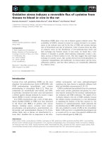 Báo cáo khoa học: Oxidative stress induces a reversible ﬂux of cysteine from tissues to blood in vivo in the rat pptx