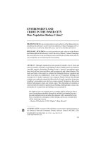 ENVIRONMENT AND CRIME IN THE INNER CITY pptx