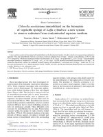 A new system to remove cd from contaminated aqueous medium