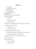 Ngoại ứng tiêu cực do Ve-dan gây ra, nguyên nhân và giải pháp