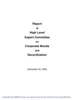 Report of High Level Expert Committee on Corporate Bonds and Securitization potx