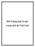 Hải Tượng loài cá quý trong sách đỏ Việt Nam pptx