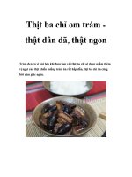 Thịt ba chỉ om trám thật dân dã, thật ngon pdf