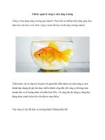 5 Bước quản lý công ty siêu tăng trưởng potx