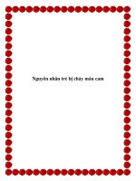 Nguyên nhân trẻ bị chảy máu cam ppt