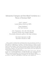 Information Contagion and Inter-Bank Correlation in a Theory of Systemic Risk potx