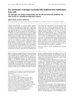 Báo cáo Y học: The mechanism of nitrogen monoxide (NO)-mediated iron mobilization from cells NO intercepts iron before incorporation into ferritin and indirectly mobilizes iron from ferritin in a glutathione-dependent manner pot