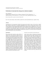 fabrication of nanomaterials using porous alumina templates