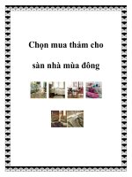 Chọn mua thảm cho sàn nhà mùa đông pptx
