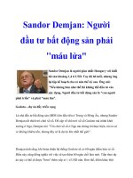 Sandor Demjan: Người đầu tư bất động sản phải doc