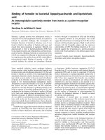 Báo cáo khoa học: Binding of hemolin to bacterial lipopolysaccharide and lipoteichoic acid An immunoglobulin superfamily member from insects as a pattern-recognition receptor doc