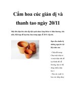 Cắm hoa cúc giản dị và thanh tao ngày 20/11 docx