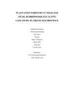 PLANTATION FORESTRY IN THAILAND (TEAK, RUBBERWOOD, EUCALYPT) CASE STUDY IN CHIANG RAI PROVINCE ppt