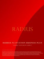 Rubber plantation business plan pot