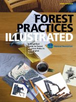 Forest Practices Illustrated - A Simplified Guide to Forest Practices Rules in Washington State docx