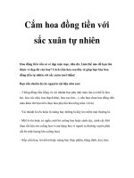 Cắm hoa đồng tiền với sắc xuân tự nhiên pdf
