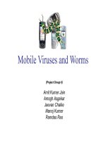 mobile virus presentation