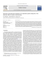 Structures and electronic properties of si nanowires grown along the [1 1 0] direction role of surface reconstruction