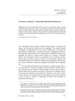 Currency choice in international bond issuance docx