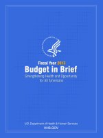 FISCAL YEAR 2013 BUDGET IN BRIEF STRENGTHENING HEALTH AND OPPORTUNITY FOR ALL AMERICANS pptx