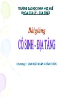 Chương 3: SINH VẬT NHÂN CHÍNH pptx