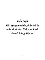 Tiểu luận Xây dựng module phân hệ kế toán thuế cho lĩnh vực kinh doanh hàng điện tử pot