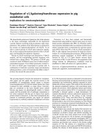 Báo cáo Y học: Regulation of a1,3galactosyltransferase expression in pig endothelial cells Implications for xenotransplantation doc