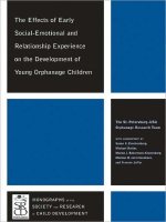 The effects of early social-emotional and relationship experience on the development of young orphanage children pot