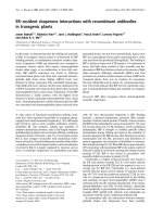 Báo cáo Y học: ER–resident chaperone interactions with recombinant antibodies in transgenic plants potx