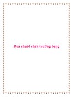 Dưa chuột chữa trướng bụng. docx