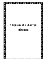  Chọn cây cho khai vận đầu năm pdf