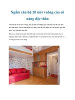 Ngắm căn hộ 20 mét vuông của cô nàng độc thân ppt