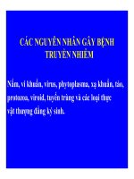 Bệnh lý thực vật - Các nguyên nhân gây bệnh truyền nhiễm pptx