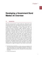 Developing a Government Bond Market:An Overview potx