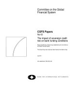 The impact of sovereign credit risk on bank funding conditions pot