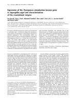 Báo cáo khoa học: Expression of the Pycnoporus cinnabarinus laccase gene in Aspergillus niger and characterization of the recombinant enzyme pdf