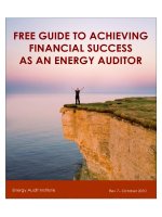 FREE GUIDE TO ACHIEVING FINANCIAL SUCCESS AS AN ENERGY AUDITOR pptx