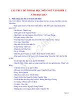 CẤU TRÚC ĐỀ THI ĐẠI HỌC MÔN NGỮ VĂN KHỐI C NĂM HỌC 2013 ppt