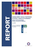 SAVINGS BANKS'''' SOCIALLY RESPONSIBLE ACTIVITIES, A WEALTH OF EXPERIENCE: INSIGHTS FROM WSBI MEMBERS IN AFRICA, ASIA AND THE AMERICAS pot