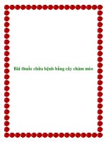 Bài thuốc chữa bệnh bằng cây chàm mèo docx