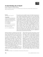 Báo cáo khoa học: A client-binding site of Cdc37 ppt