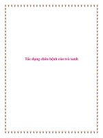 Tác dụng chữa bệnh của trà xanh. ppt