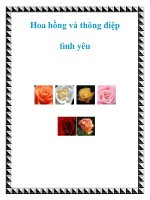 Hoa hồng và thông điệp tình yêu pptx