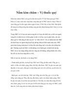 Nấm kim châm – Vị thuốc quý pptx