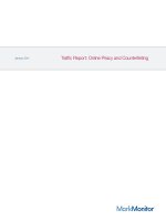 Traffic Report: Online Piracy and Counterfeiting pdf