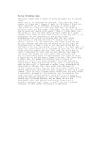 review of sublime video