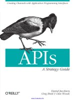 APIs: A Strategy Guide pot