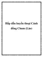 Hấp dẫn huyền thoại Cánh đồng Chum (Lào) pptx
