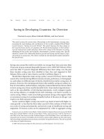 Saving in Developing Countries: An Overview doc