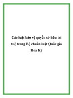 Các luật bảo vệ quyền sở hữu trí tuệ trong Bộ chuẩn luật Quốc gia Hoa Kỳ pot